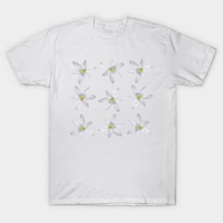 Star Of Bethlehem Pattern T-Shirt